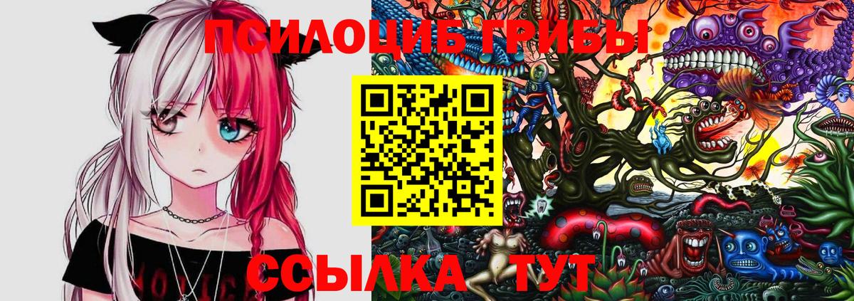 где найти наркотики  Галлюциногенные грибы прущие грибы  Вход с VPN  Реж 